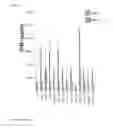 Fig. 16 - Antigen Binding Proteins that Bind PD-L1