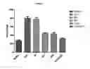 Fig. 06 - Method for treating cancer