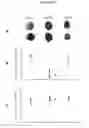 Fig. 20 - Nitric Oxide Donors