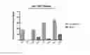 Fig. 01 - MULTIPLE OLIGONUCLEOTIDE MOIETIES ON PEPTIDE CARRIER