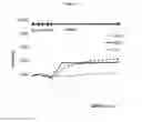 Fig. 12 - Complexes of abiraterone acetate, process for the preparation thereof and pharmaceutical compositions containing them