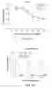 Fig. 05 - Methods of making lyophilized compositions comprising albumin-VEGF paclitaxel nanoparticle complexes