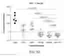 Fig. 12 - Methods of making lyophilized compositions comprising albumin-VEGF paclitaxel nanoparticle complexes