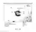 Fig. 03 - Albumin-CTLA-4 paclitaxel nanopartilce complex compositions and methods of making and using the same