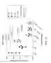 Fig. 29 - Albumin-CTLA-4 paclitaxel nanopartilce complex compositions and methods of making and using the same