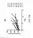 Fig. 40 - Albumin-CTLA-4 paclitaxel nanopartilce complex compositions and methods of making and using the same