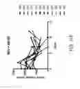 Fig. 43 - Albumin-CTLA-4 paclitaxel nanopartilce complex compositions and methods of making and using the same