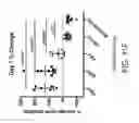 Fig. 44 - Albumin-CTLA-4 paclitaxel nanopartilce complex compositions and methods of making and using the same