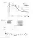 Fig. 07 - Polymers having therapeutically active agents conjugated thereto, processes of preparing same and uses thereof