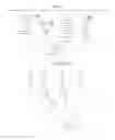 Fig. 13 - Polymers having therapeutically active agents conjugated thereto, processes of preparing same and uses thereof
