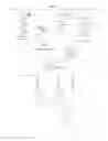 Fig. 19 - Polymers having therapeutically active agents conjugated thereto, processes of preparing same and uses thereof