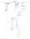 Fig. 20 - Polymers having therapeutically active agents conjugated thereto, processes of preparing same and uses thereof
