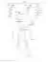 Fig. 22 - Polymers having therapeutically active agents conjugated thereto, processes of preparing same and uses thereof