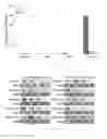 Fig. 06 - Delivery of agents using interfering nanoparticles