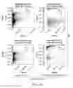 Fig. 02 - Lyophilized compositions comprosing albumin-EGFR paclitaxel nanoparticle complexes