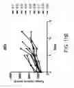 Fig. 40 - Lyophilized compositions comprosing albumin-EGFR paclitaxel nanoparticle complexes