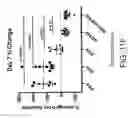Fig. 44 - Lyophilized compositions comprosing albumin-EGFR paclitaxel nanoparticle complexes