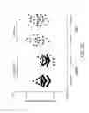 Fig. 11 - Albumin-PD-1 paclitaxel nanoparticle complex compositions and methods of making and using the same