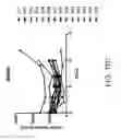 Fig. 42 - Albumin-PD-1 paclitaxel nanoparticle complex compositions and methods of making and using the same