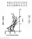 Fig. 43 - Albumin-PD-1 paclitaxel nanoparticle complex compositions and methods of making and using the same