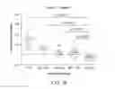 Fig. 09 - Methods of using albumin-CD20 paclitaxel nanoparticle complex compositions for treating cancer
