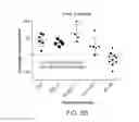 Fig. 25 - Methods of using albumin-CD20 paclitaxel nanoparticle complex compositions for treating cancer