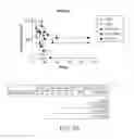 Fig. 26 - Methods of using albumin-CD20 paclitaxel nanoparticle complex compositions for treating cancer