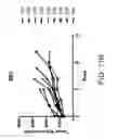 Fig. 40 - Methods of using albumin-CD20 paclitaxel nanoparticle complex compositions for treating cancer