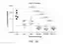 Fig. 12 - Methods of using albumin-antibody nanoparticle complex compositions for treating cancer