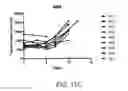 Fig. 41 - Lyophilized compositions comprising albumin-rankl or albumin-GD2 paclitaxel nanoparticle complexes
