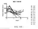 Fig. 43 - Lyophilized compositions comprising albumin-rankl or albumin-GD2 paclitaxel nanoparticle complexes