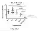 Fig. 45 - Lyophilized compositions comprising albumin-rankl or albumin-GD2 paclitaxel nanoparticle complexes