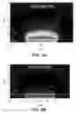 Fig. 100 - SYSTEM AND METHOD FOR OPTOGENETIC THERAPY