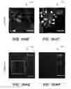 Fig. 111 - SYSTEM AND METHOD FOR OPTOGENETIC THERAPY