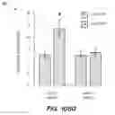 Fig. 125 - SYSTEM AND METHOD FOR OPTOGENETIC THERAPY