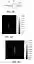 Fig. 75 - SYSTEM AND METHOD FOR OPTOGENETIC THERAPY