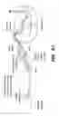 Fig. 93 - SYSTEM AND METHOD FOR OPTOGENETIC THERAPY
