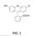 Fig. 02 - METHOD OF DRY DYE DELIVERY FOR STAINING THE EYE