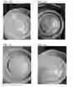 Fig. 02 - Wax melt compositions having increased thermal stability