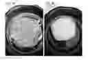 Fig. 03 - Wax melt compositions having increased thermal stability