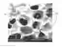 Fig. 01 - Articles including a porous elastomeric material with an integrated elastomeric material and methods of making same