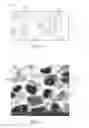 Fig. 03 - Articles including a porous elastomeric material with an integrated elastomeric material and methods of making same