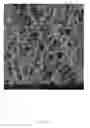 Fig. 05 - ELECTROSPUN BIOCOMPATIBLE FIBER COMPOSITIONS