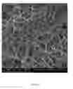 Fig. 06 - ELECTROSPUN BIOCOMPATIBLE FIBER COMPOSITIONS