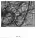 Fig. 09 - ELECTROSPUN BIOCOMPATIBLE FIBER COMPOSITIONS