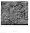 Fig. 12 - ELECTROSPUN BIOCOMPATIBLE FIBER COMPOSITIONS