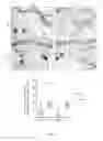 Fig. 03 - WOUND-HEALING-ENHANCING DEVICES
