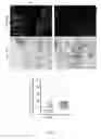 Fig. 04 - WOUND-HEALING-ENHANCING DEVICES