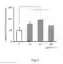 Fig. 08 - WOUND-HEALING-ENHANCING DEVICES