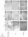 Fig. 09 - ABSORBABLE FIBRIN MICROTHREAD SUTURES FOR REDUCED INFLAMMATION AND SCARRING IN TISSUE LIGATION